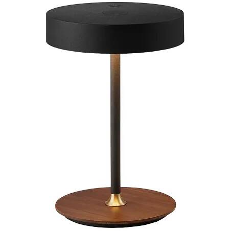 Lampe de table à LED en métal noir et laiton antique H19