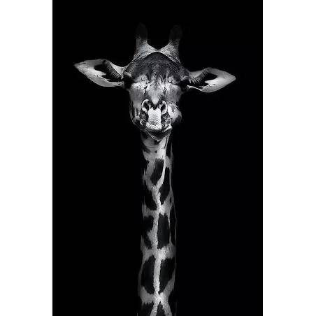 Tableau plexiglas Girafe