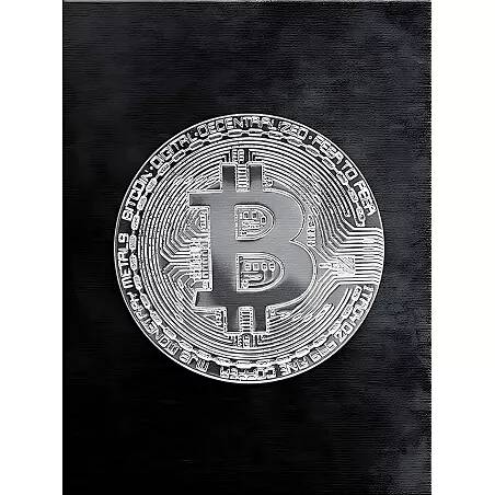 Tableau sur toile Pièce Bitcoin
