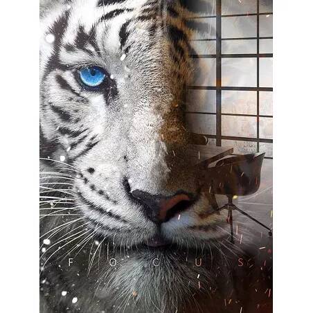 Tableau acrylique Tigre