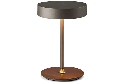 16100 - 175661 - Lampe de table à LED en métal anthracite et laiton antique H19