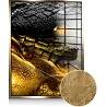 Tableau feuille d'or Gold Crocodile doré