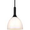 Lampe suspension en verre blanc et bois noir Ø14
