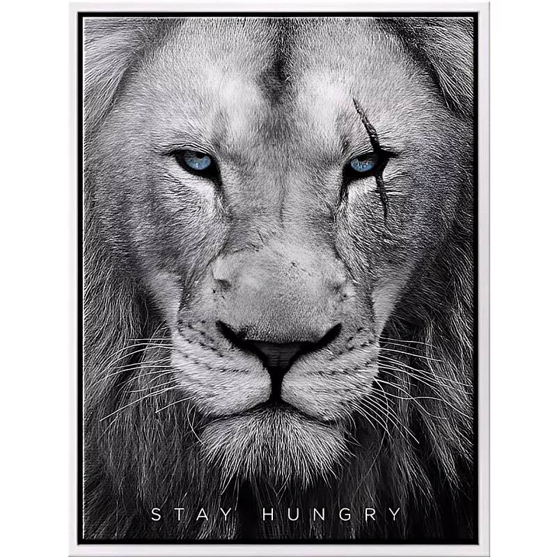 Tableau sur toile Lion Hungry blanc